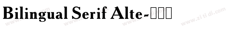 Bilingual Serif Alte字体转换 Bilingual Serif Alte字体转换